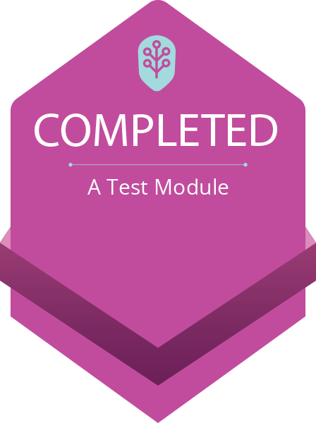 Achievement: Completion of A Test Module