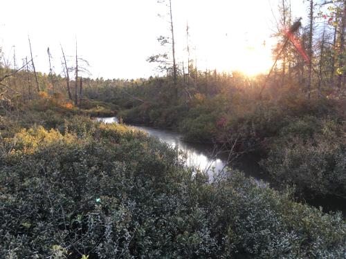 Ecology: Lake Metabolism